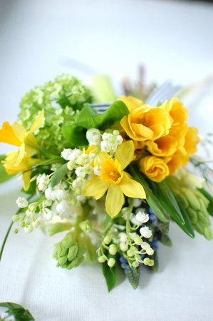 Beautiful Daffodils
