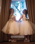 Customer picture for Cap Sleeves Champagne Sequin Tulle Wedding Flower Girl Dress with belt