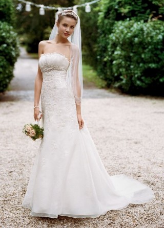 Organza Trumpet Wedding Dress with Embellished Lace Style