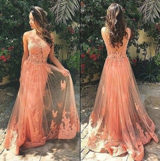 Sexy Pink Lace Tulle V Back Wedding Prom Evening Party Dress