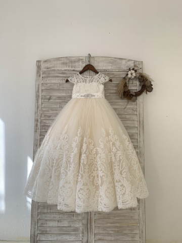 Princessly.com-K1004195-Cap Sleeves Lace Champagne Tulle Wedding Flower Girl Dress Kids Party Dress with Beaded Belt-20
